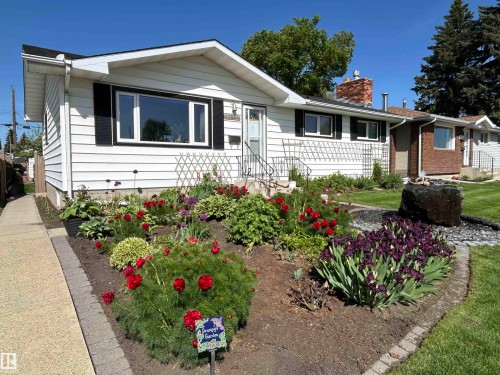 White siding exterior with dark shutters, featuring a stone water feature, brick chimney, and a landscaped front garden with various plantings - 13504 116 St Nw, Edmonton, AB - Outdoor