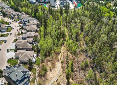 Expansive wooded lot featuring mature trees and established pathways - 1728 Rutherford Pt Point(E) Sw, Edmonton, AB - Outdoor With View