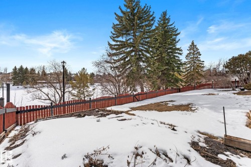 The property features a spacious yard with mature evergreen trees and a red picket fence - 10673 161 Avenue, Edmonton, AB - Outdoor