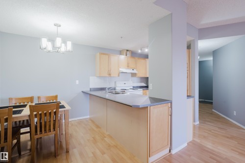 Open-concept kitchen and dining area featuring light wood-finish flooring - 508 11103 84 Avenue, Edmonton, AB - Indoor Photo Showing Kitchen