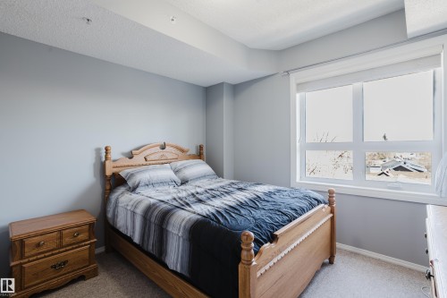 Bedroom featuring a large multi-pane window, light gray wall color, and carpeted flooring - 508 11103 84 Avenue, Edmonton, AB - Indoor Photo Showing Bedroom