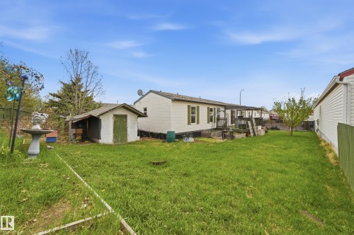 Expansive grassy yard with a detached shed and a mature tree - 106 Springfield Crescent, Spruce Grove, AB - Outdoor