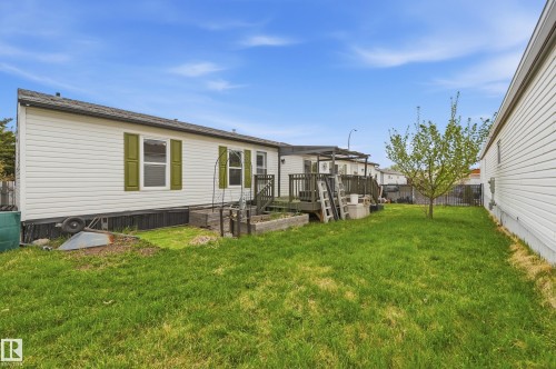 Expansive grassy yard with a young deciduous tree - 106 Springfield Crescent, Spruce Grove, AB - Outdoor With Exterior