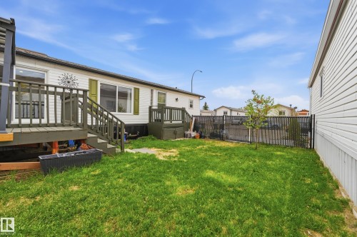 Expansive grassy yard area featuring a young tree and chain-link fencing - 106 Springfield Crescent, Spruce Grove, AB - Outdoor With Deck Patio Veranda