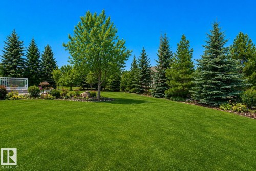 Expansive green lawn with mature evergreen trees and a decorative garden area - 58 Riverstone Close, Rural Sturgeon County, AB - Outdoor