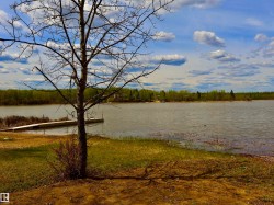 Waterfront property featuring a private dock, natural shoreline, and mature trees - 
