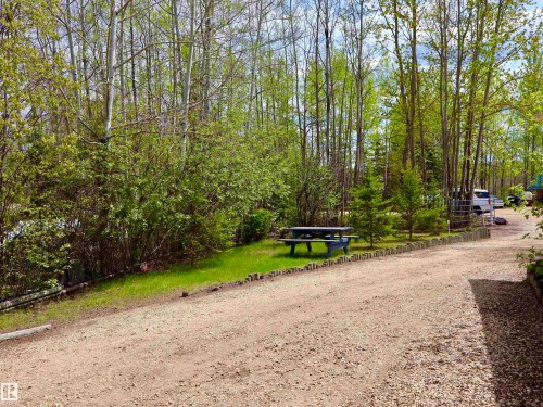 Expansive gravel driveway bordered by mature trees and shrubs - #26 5508 Twp Rd 593A, Rural Barrhead County, AB - Outdoor