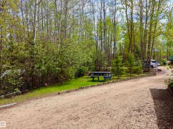 Expansive gravel driveway bordered by mature trees and shrubs - 