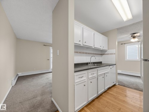 204 10731 84 Avenue, Edmonton, AB - Indoor Photo Showing Kitchen