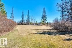 Expansive grass lawn bordered by mature trees and natural shrubbery under a clear sky - 