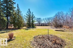 Expansive outdoor grounds featuring mature evergreen trees and natural landscaping - 