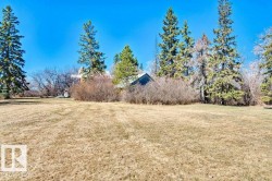 Expansive outdoor space featuring a large lawn area and mature evergreen trees - 