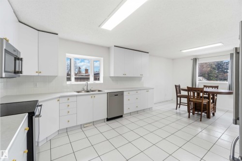 17919 94 Avenue, Edmonton, AB - Indoor Photo Showing Kitchen With Double Sink