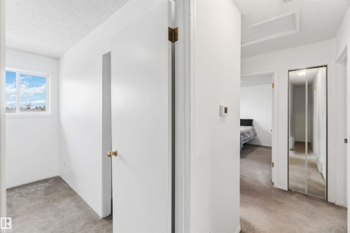 17919 94 Avenue, Edmonton, AB - Indoor Photo Showing Other Room