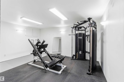 17919 94 Avenue, Edmonton, AB - Indoor Photo Showing Gym Room