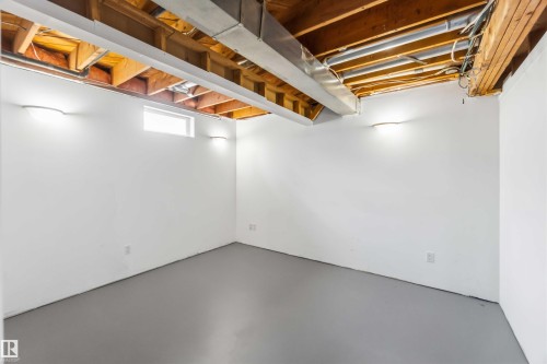 17919 94 Avenue, Edmonton, AB - Indoor Photo Showing Basement