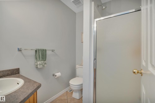 117 Hollick-Kenyon Way, Edmonton, AB - Indoor Photo Showing Bathroom