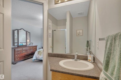117 Hollick-Kenyon Way, Edmonton, AB - Indoor Photo Showing Bathroom