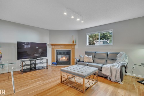 117 Hollick-Kenyon Way, Edmonton, AB - Indoor Photo Showing Living Room With Fireplace