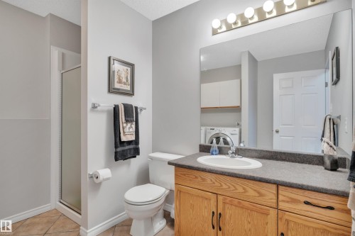 117 Hollick-Kenyon Way, Edmonton, AB - Indoor Photo Showing Bathroom