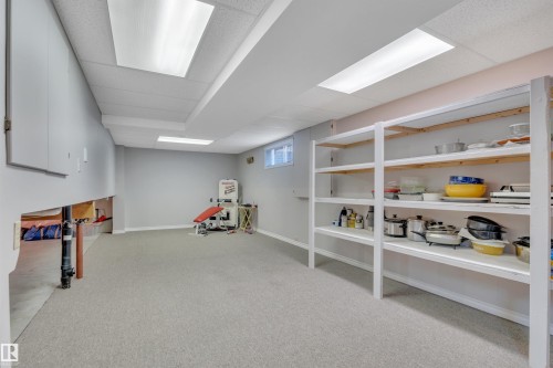 117 Hollick-Kenyon Way, Edmonton, AB - Indoor Photo Showing Basement