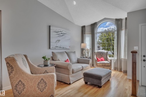 117 Hollick-Kenyon Way, Edmonton, AB - Indoor Photo Showing Living Room