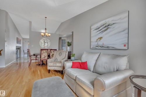 117 Hollick-Kenyon Way, Edmonton, AB - Indoor Photo Showing Living Room