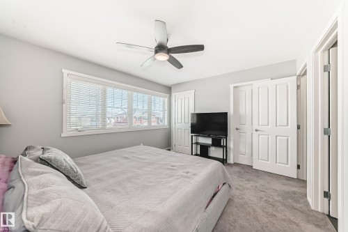 Bedroom with expansive window, ceiling fan, grey wall paint, and grey textured carpeting - 267 Sturtz Bend, Leduc, AB - Indoor Photo Showing Bedroom