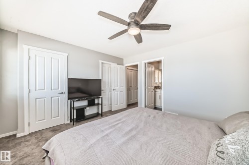 Bedroom featuring a ceiling fan with integrated lighting, light gray walls, and carpet flooring - 267 Sturtz Bend, Leduc, AB - Indoor Photo Showing Bedroom
