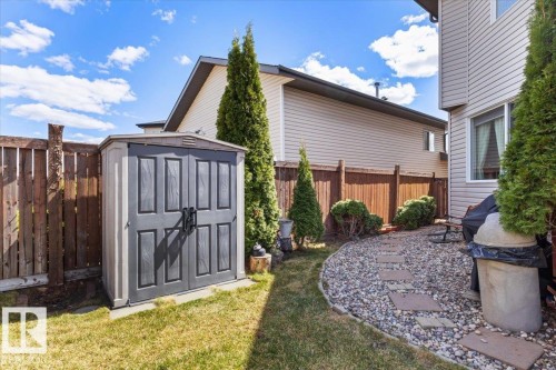Backyard featuring a shed, a wooden fence, and mature evergreen trees - 3356 25 Ave, Edmonton, AB - Outdoor With Exterior