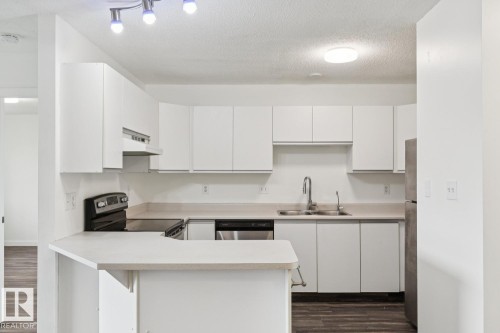 411 9010 106 Avenue, Edmonton, AB - Indoor Photo Showing Kitchen With Double Sink