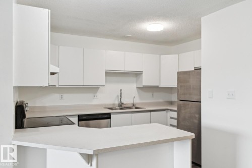 411 9010 106 Avenue, Edmonton, AB - Indoor Photo Showing Kitchen With Double Sink