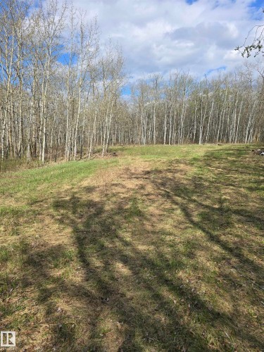 53559 Range Rd 220, Rural Strathcona County, AB - Outdoor With View