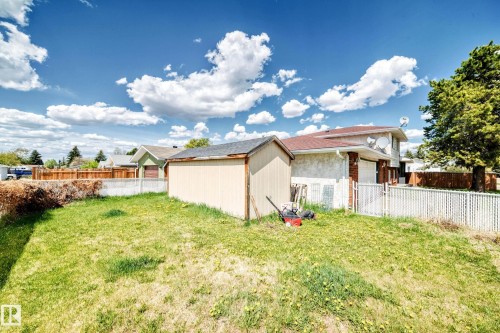 Expansive green space featuring a storage shed with a shingled roof, chain link fencing, a mature tree, and a stucco-exterior residence - 1804 51 Street Nw, Edmonton, AB - Outdoor