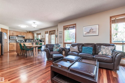 5204 190 Street, Edmonton, AB - Indoor Photo Showing Living Room