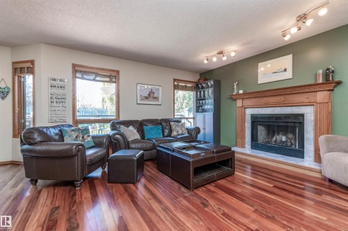 5204 190 Street, Edmonton, AB - Indoor Photo Showing Living Room With Fireplace