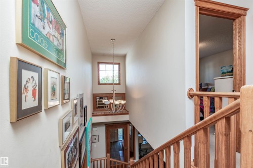 5204 190 Street, Edmonton, AB - Indoor Photo Showing Other Room