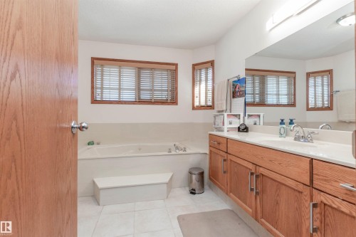 5204 190 Street, Edmonton, AB - Indoor Photo Showing Bathroom