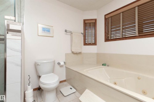 5204 190 Street, Edmonton, AB - Indoor Photo Showing Bathroom