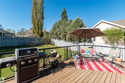 5204 190 Street, Edmonton, AB - Outdoor With Deck Patio Veranda