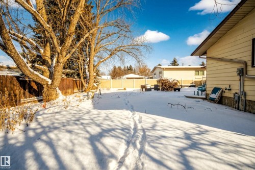 The property features an extensive backyard with a wooden fence and mature trees - 17 Austin Crescent, St. Albert, AB - Outdoor