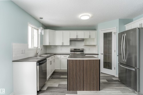 16304 43 Street, Edmonton, AB - Indoor Photo Showing Kitchen With Double Sink