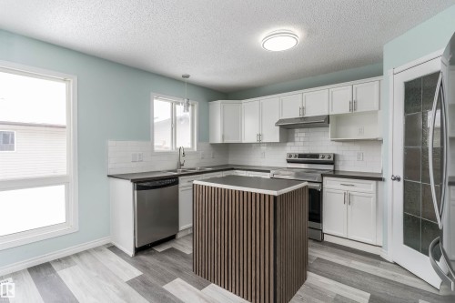 16304 43 Street, Edmonton, AB - Indoor Photo Showing Kitchen With Double Sink