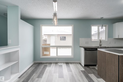 16304 43 Street, Edmonton, AB - Indoor Photo Showing Kitchen With Double Sink