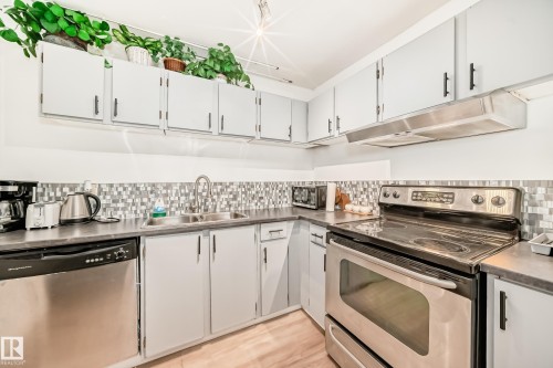 G3 10138 116 Street, Edmonton, AB - Indoor Photo Showing Kitchen With Double Sink