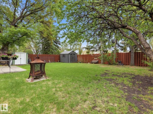 Expansive backyard featuring a lush lawn, privacy fencing, and mature trees - 18627 62A Avenue, Edmonton, AB - Outdoor With Backyard
