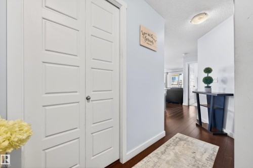 White paneled bifold closet doors, wood-finish flooring, and light blue wall tones - 340 6076 Schonsee Way, Edmonton, AB - Indoor Photo Showing Other Room