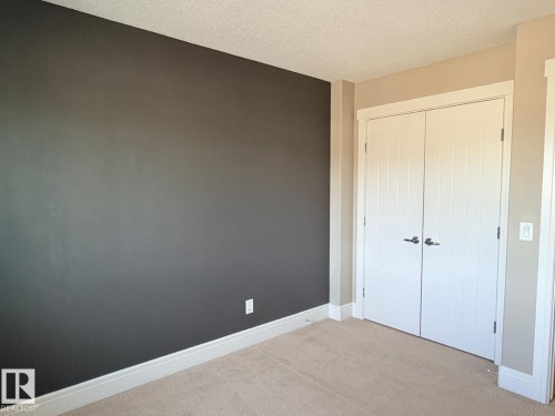 Room featuring an accent wall, neutral carpeting, and white baseboards - 648 178 Street, Edmonton, AB - Indoor Photo Showing Other Room