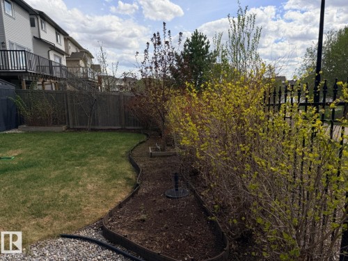 Landscaped backyard featuring established shrubs, a manicured lawn area, and a decorative wrought iron style fence - 648 178 Street, Edmonton, AB - Outdoor