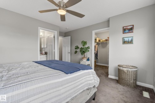 8416 23 Avenue, Edmonton, AB - Indoor Photo Showing Bedroom